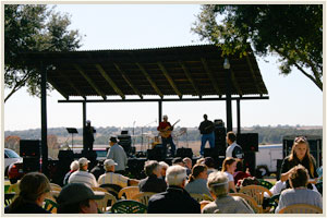 Winter Music Series
