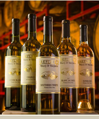 Our Wines by Type