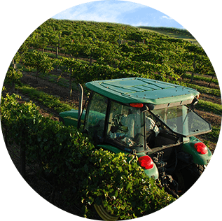 John Deere tractor driving through the vineyard.