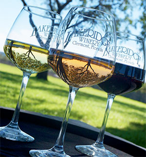 Red and white wine in glasses outdoors.