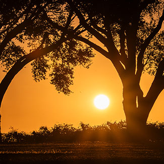 Sunset on the winery