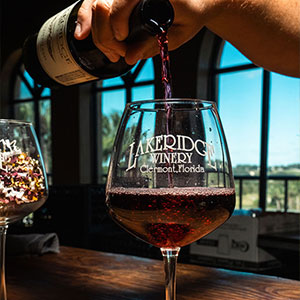 Wine being poured into a glass from a bottle..