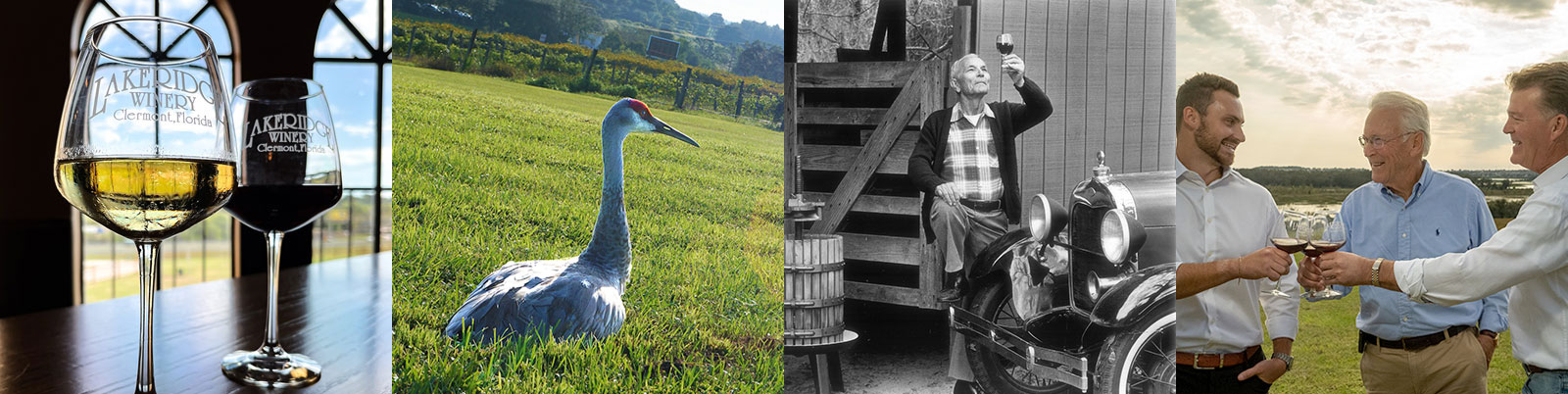 Collage of images showing the winery founders enjoying wine.