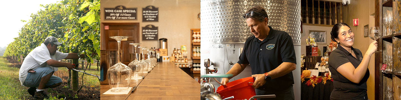 Collage of images showing happy staff members in the vineyard, maintenance, and retail.