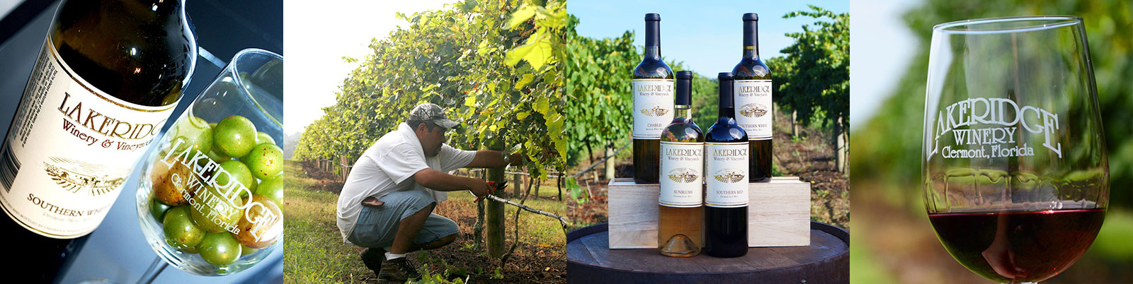 Collage of images showing wine in wine glasses and bottles in outdoor settings.